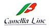 Camellia Line Ferries